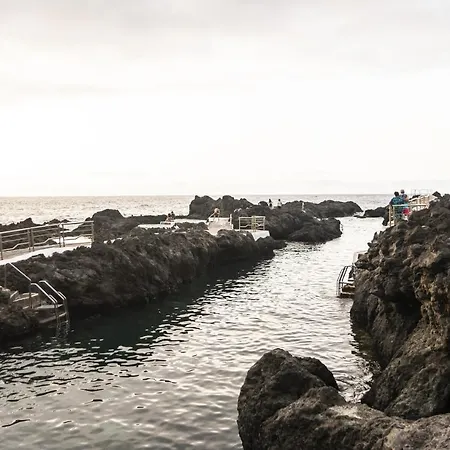 Salsalitre Chico * Гарачико