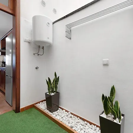 Salsalitre Chico * Гарачико