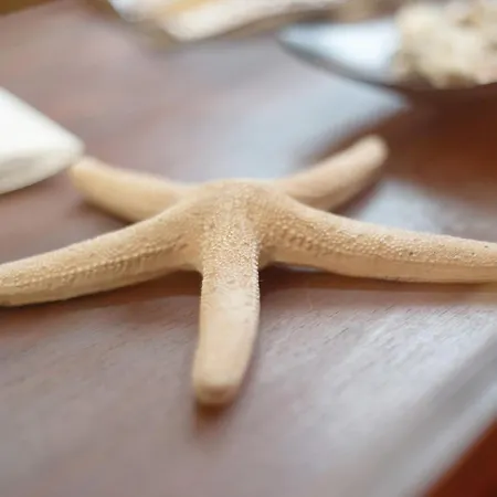 Salsalitre Chico Апартаменты *